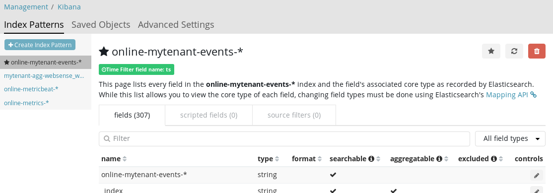 Kibana Mapping exception